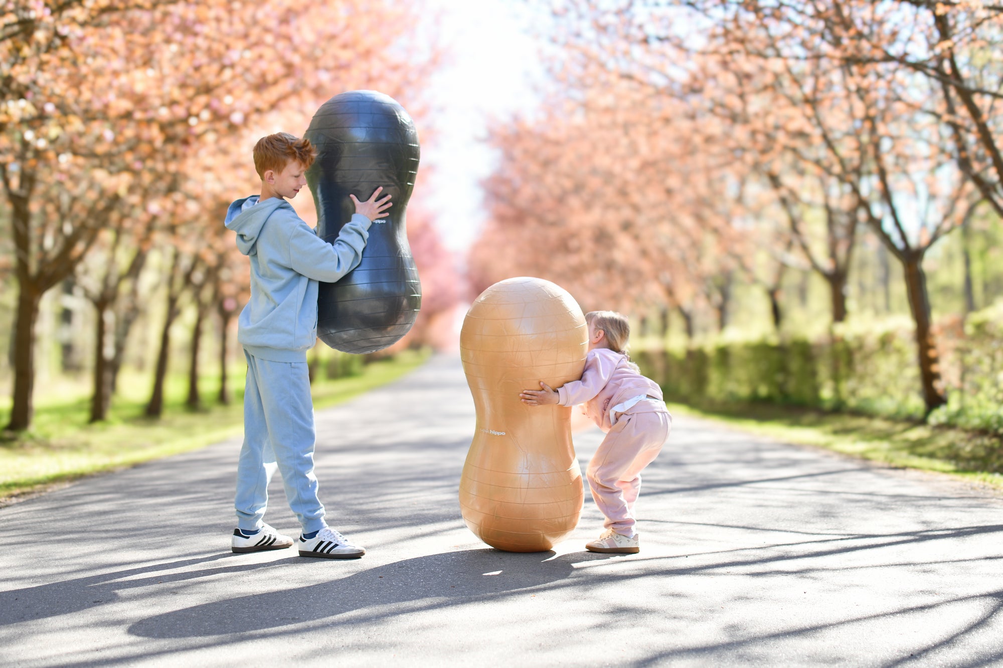 Erdnussförmiger Balanceball - Lion