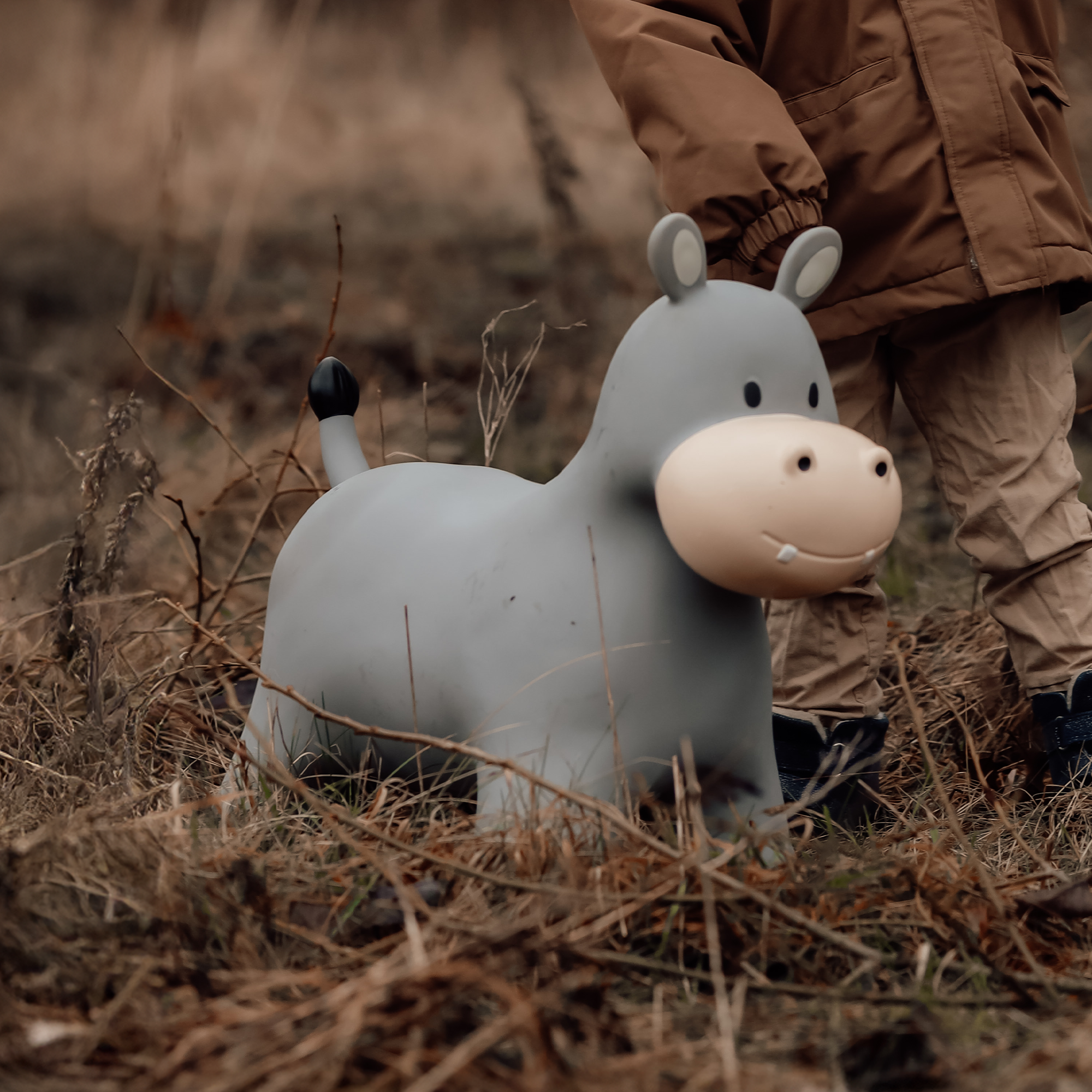 Holger the bouncing hippo toy standing on mossy forest floor – Find That Hippo