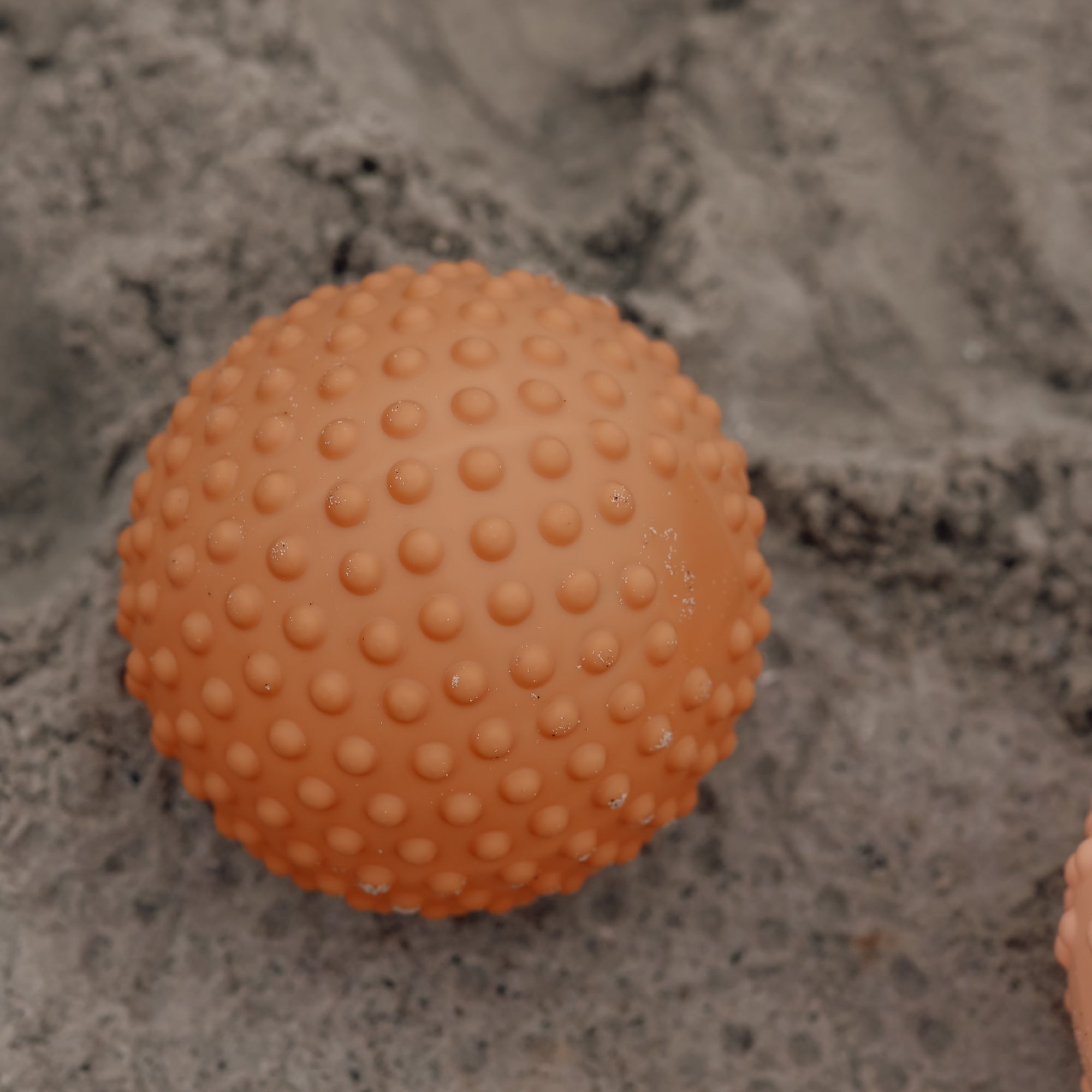 Close-up of a large muted orange sensory ball placed on beach sand – Find That Hippo